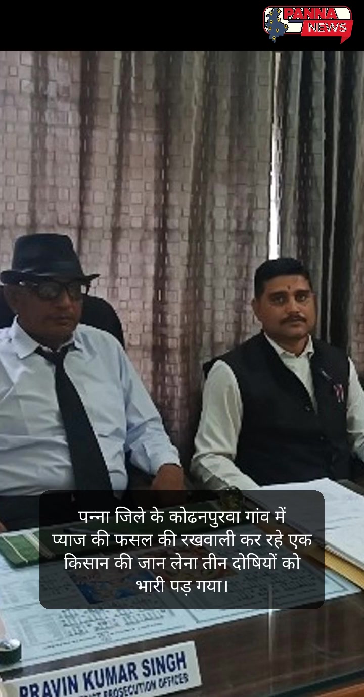 पन्ना की धड़कन: संघर्ष, न्याय और नई उम्मीदों की कहानियाँ