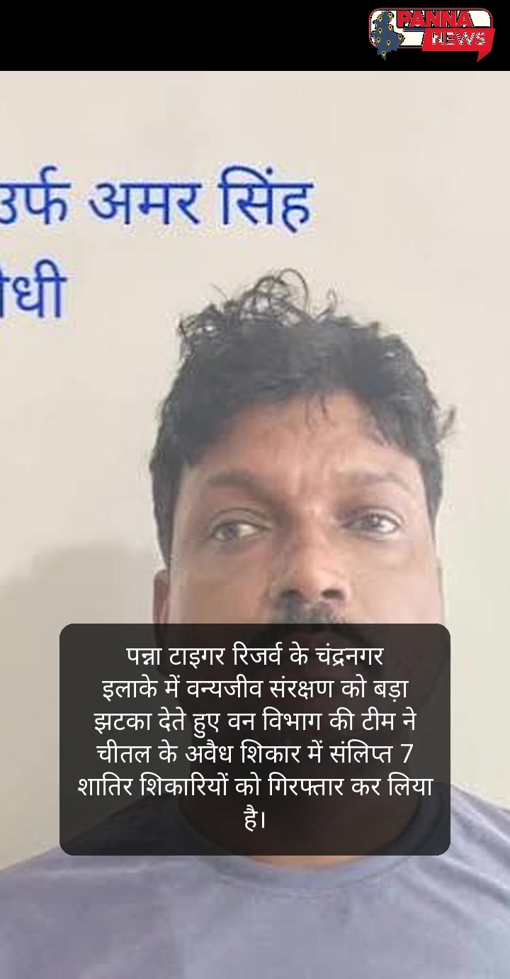 पन्ना जिले की 4 बड़ी खबरें: अपराध, हादसे और वन्यजीवों का आतंक