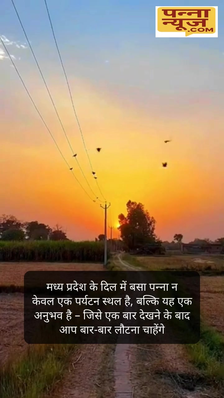 पन्ना दर्शन: जंगल, झरने और हीरे की अद्भुत यात्रा