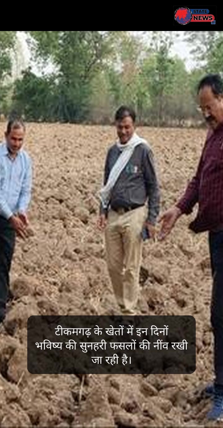 टीकमगढ़ डायरी: तपती धरती की गहरी जुताई, मासूमों की फिक्र, मिला नया जीवनदान और उन्नत खेती से चमकी किस्मत