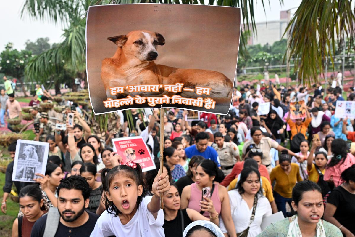 सुप्रीम कोर्ट का बड़ा फैसला: आवारा कुत्तों को पकड़कर वापस वहीं छोड़ें, राज्यों को नोटिस जारी