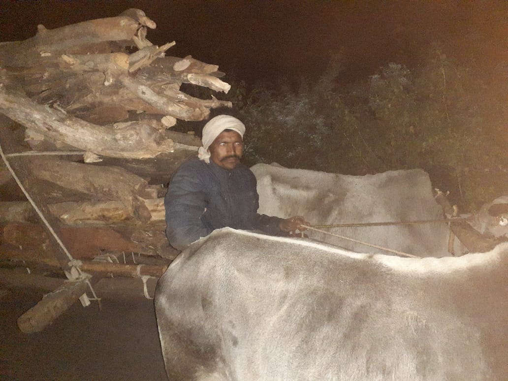 लटेरी की निसोवर्री के पास वन विभाग की कार्रवाई, वन विभाग की टीम ने तीन बैलगाड़ी को किया जब्त