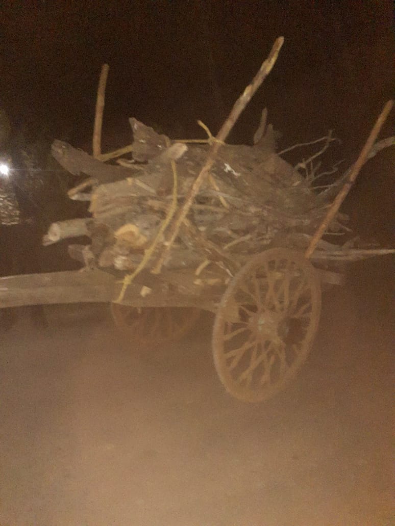 लटेरी की निसोवर्री के पास वन विभाग की कार्रवाई, वन विभाग की टीम ने तीन बैलगाड़ी को किया जब्त