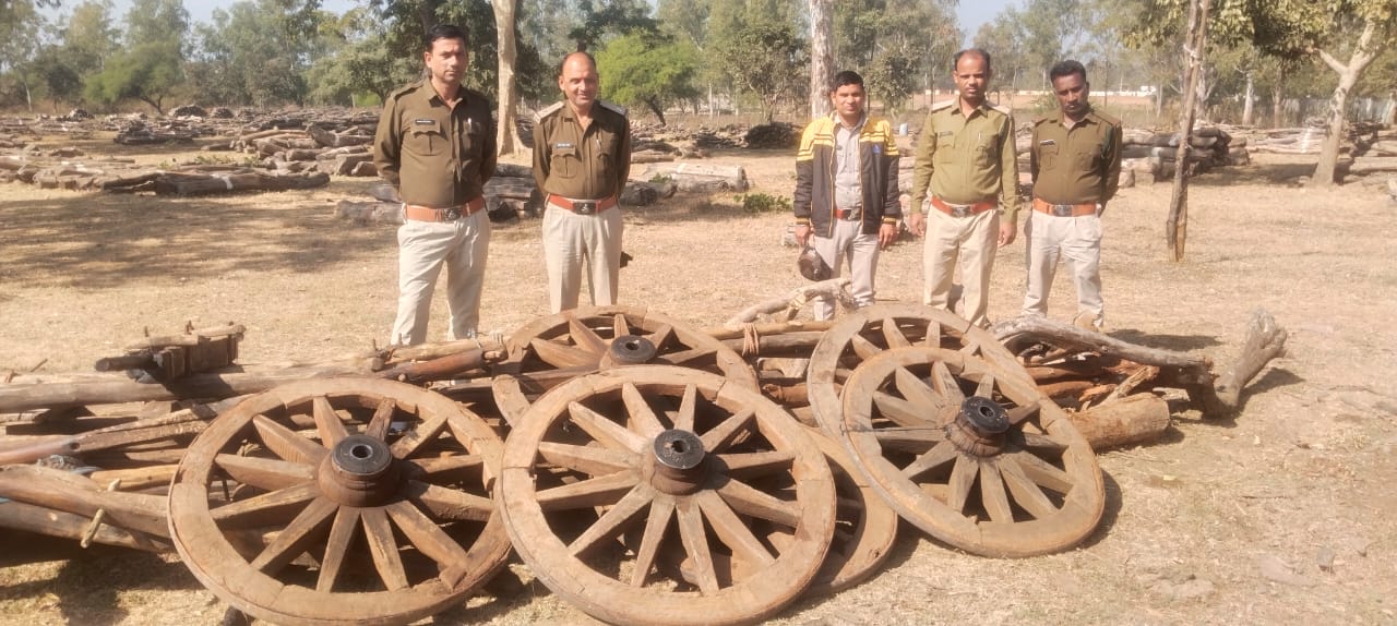 लटेरी की निसोवर्री के पास वन विभाग की कार्रवाई, वन विभाग की टीम ने तीन बैलगाड़ी को किया जब्त