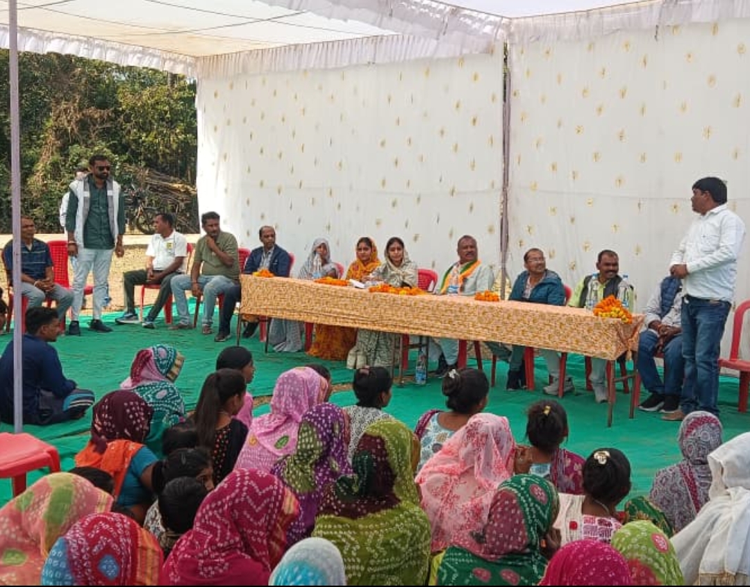 कट्ठीवाड़ा: सांसद अनीता नागर सिंह चौहान ने किया 18 लाख की विद्युत डीपी का उद्घाटन