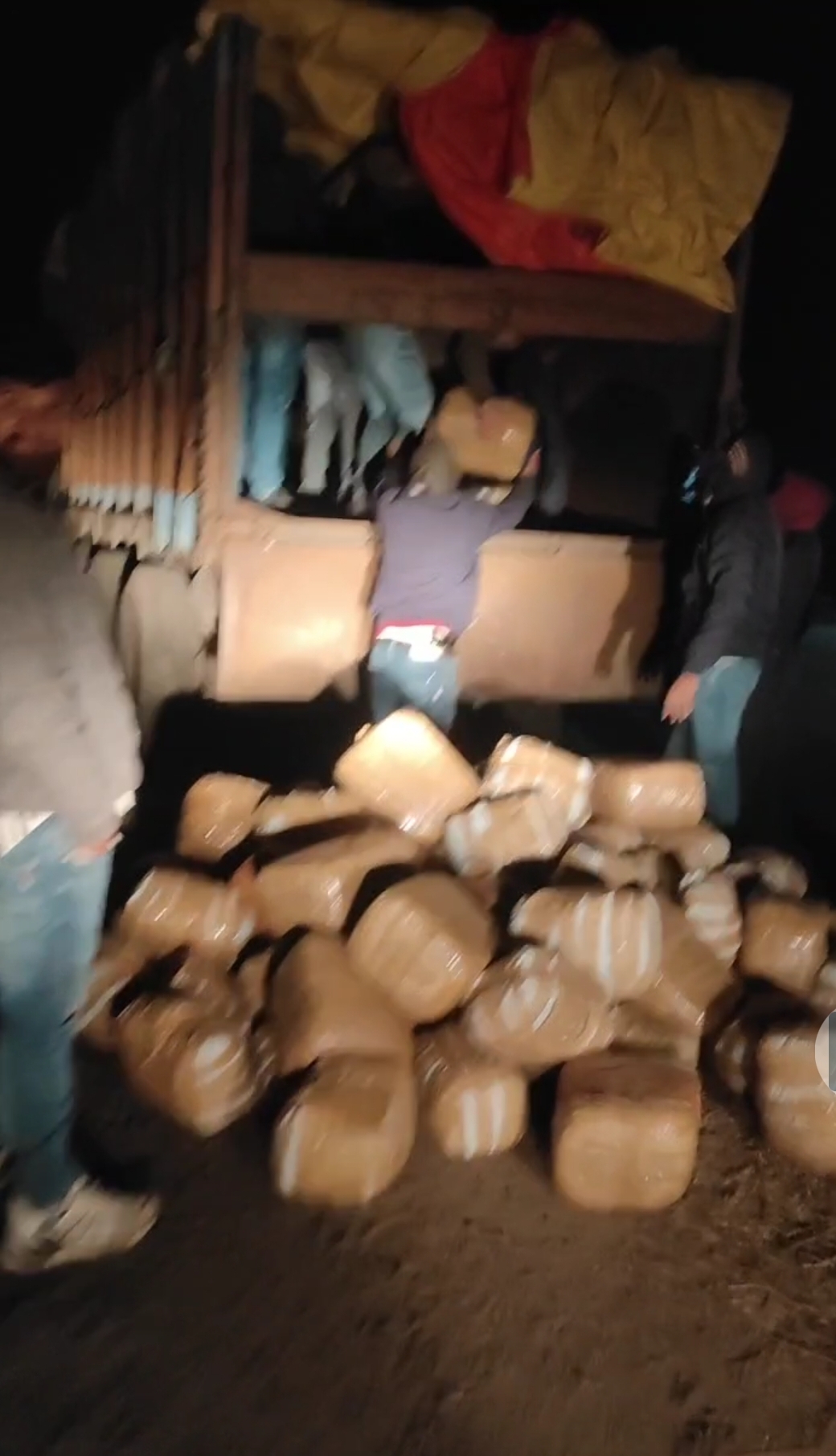 मध्य प्रदेश STF की बड़ी कार्रवाई: ओडिशा से आ रहा 599 किलोग्राम गांजा जब्त