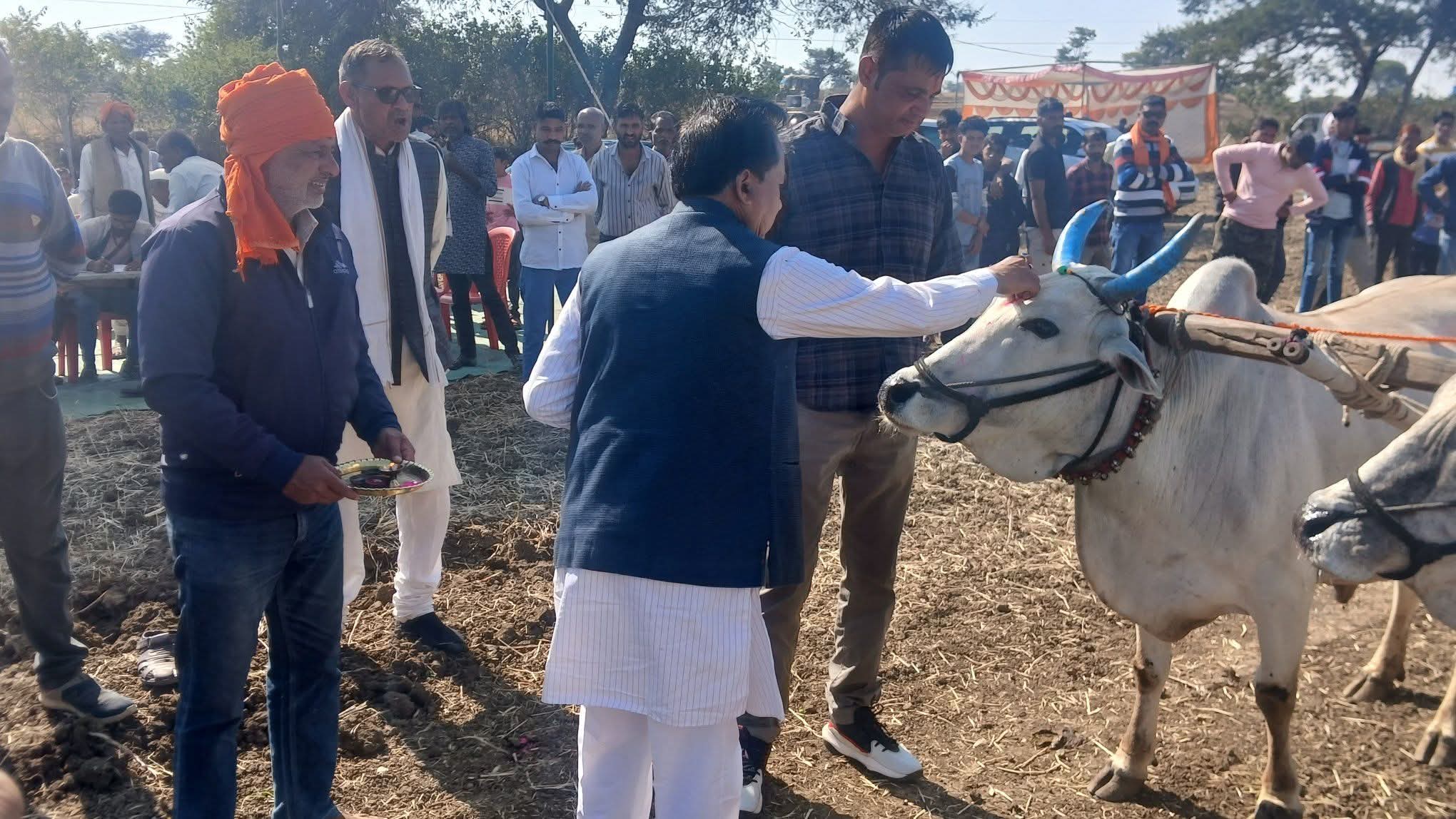  ग्राम मोही में भव्य पट बैल दौड़ प्रतियोगिता का आयोजन, विधायक देशमुख ने बढ़ाया उत्साह