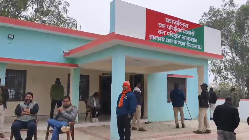 रीवा जिले में मादा तेंदुआ का बेरहमी से शिकार, वन विभाग जांच में जुटा
