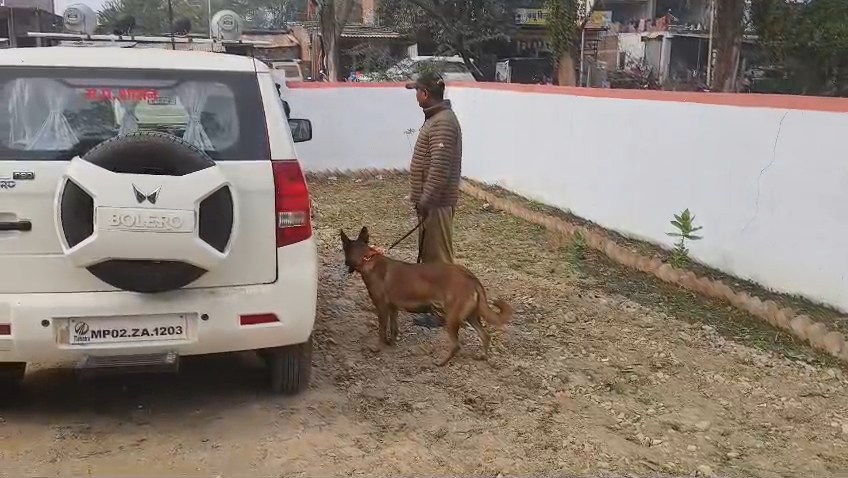 रीवा जिले में मादा तेंदुआ का बेरहमी से शिकार, वन विभाग जांच में जुटा