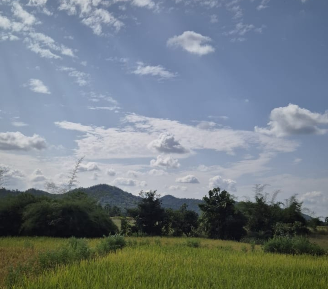 पर्यटकों के स्वागत के लिए तैयार पर्यटन स्थल कट्ठीवाड़ा, आध्यात्मिक और पर्यटन स्थलों पर पर्यटकों का आगमन हुआ प्रारंभ