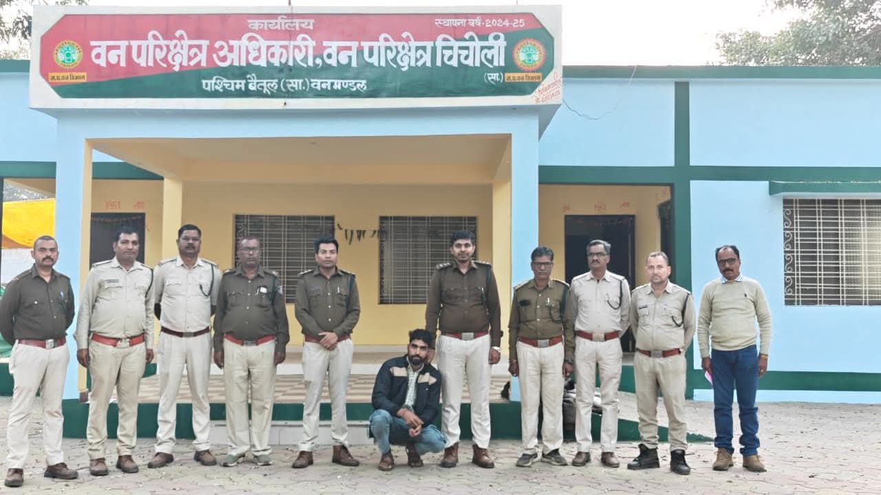 अवैध सागौन कटाई पर वन विभाग की बड़ी कार्रवाई, एक आरोपी गिरफ्तार
