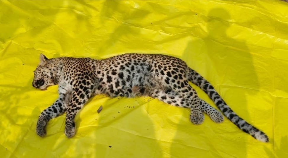 Additional News Image