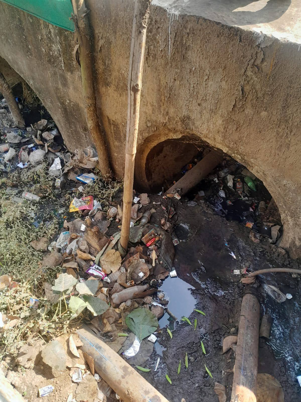 Additional News Image