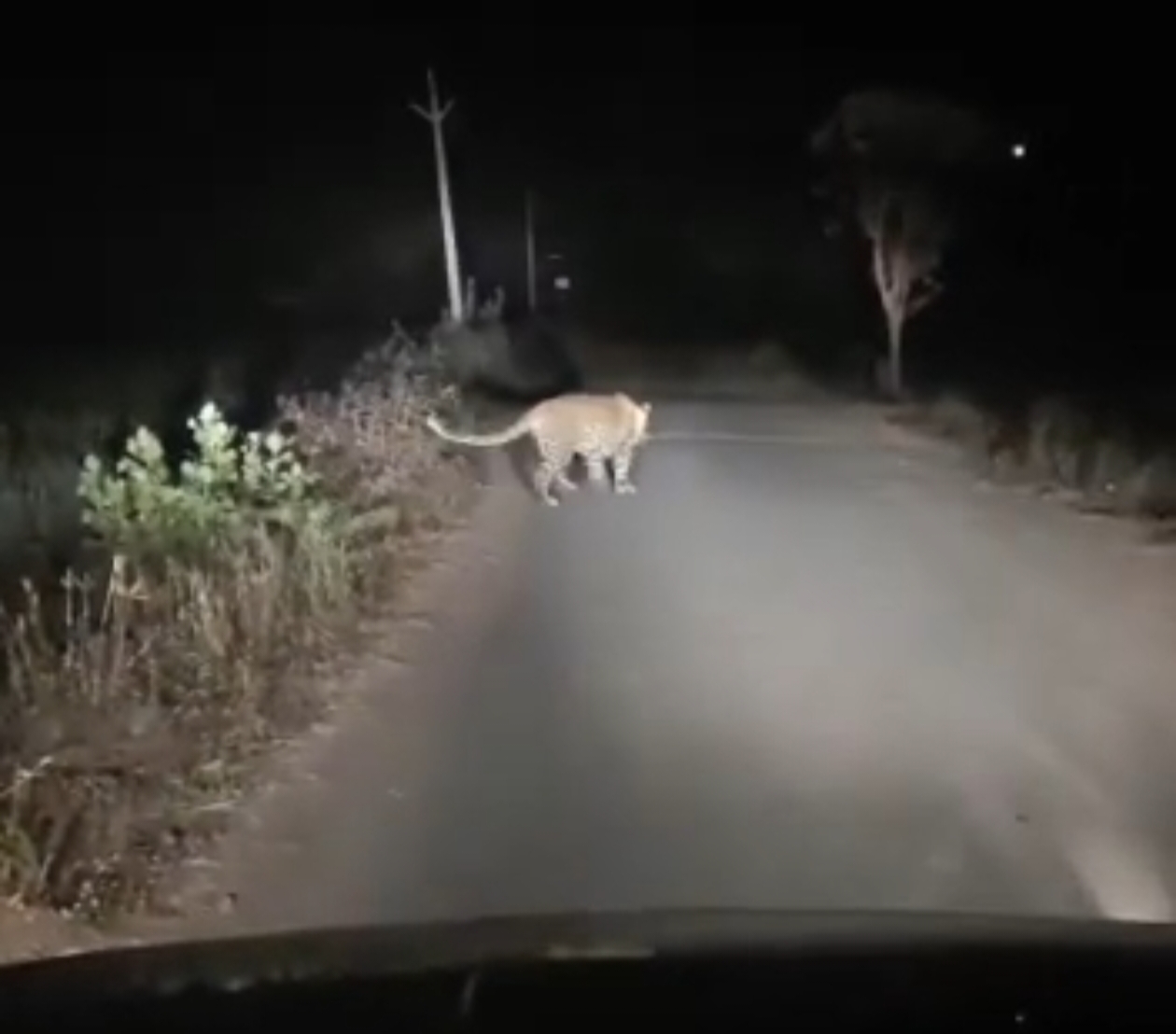 Additional News Image