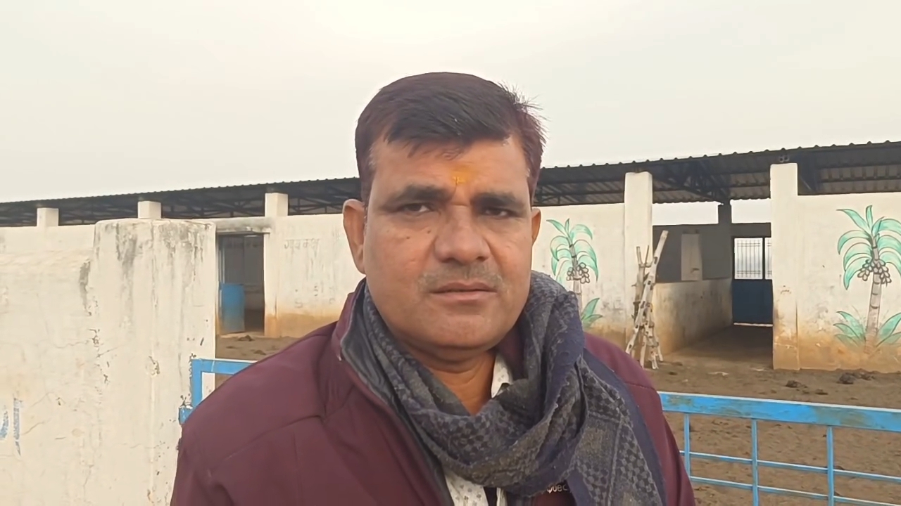 रीवा/त्यौंथर: देउर कोठार गौशाला में भ्रष्टाचार, बिना गौवंश के लाखों रुपये डकार गए सरपंच 