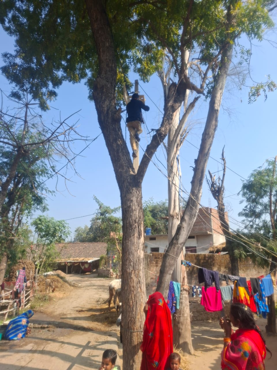 रीवा/त्यौंथर: MPEB ने बिजली बिल बकायदारों पर सख्त कार्रवाई कर कनेक्शन काटे, ट्रांसफार्मर किया बंद 