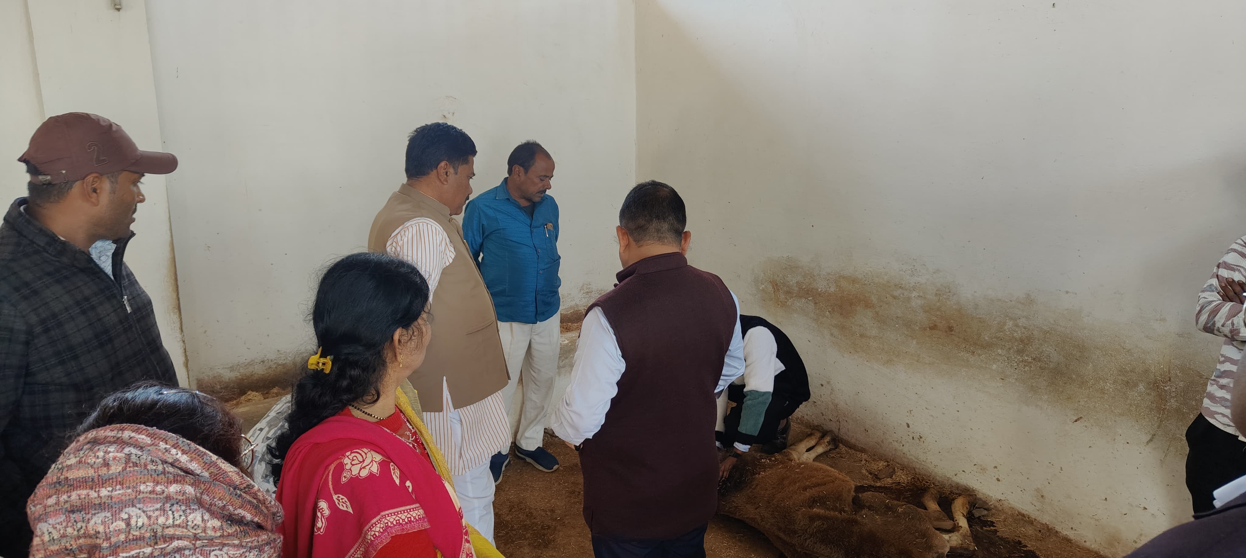 छिरारी ग्राम पंचायत की गौशाला में भारी अनियमितताएँ, औचक निरीक्षण में खुली पोल