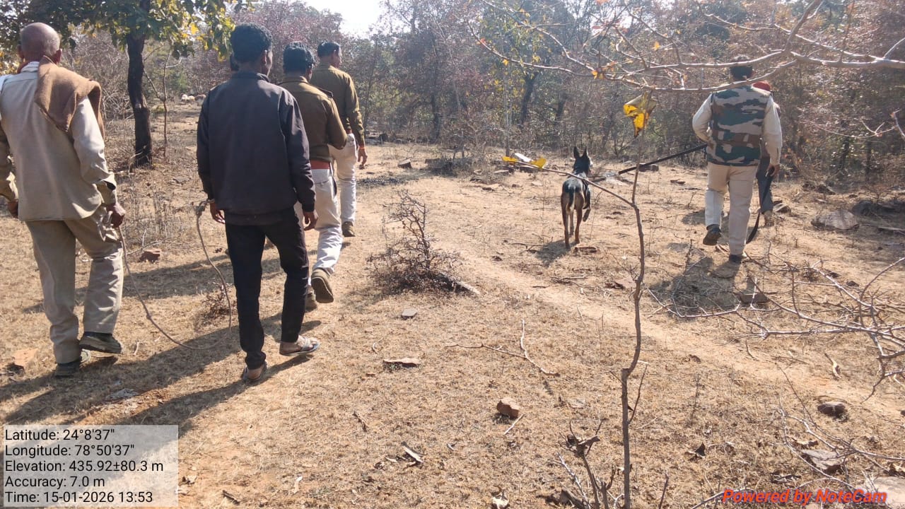 वन विभाग की कार्रवाई: वन्य प्राणी के शिकार पर दो गिरफ्तार