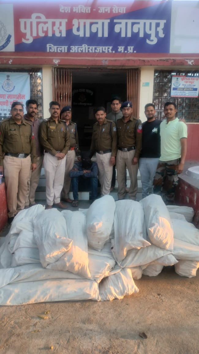 आलीराजपुर में मक्का खेत से 1.65 क्विंटल गांजा जब्त:मुखबिर की सूचना पर पुलिस ने आरोपी को घेराबंदी कर पकड़ा, मामला दर्ज
