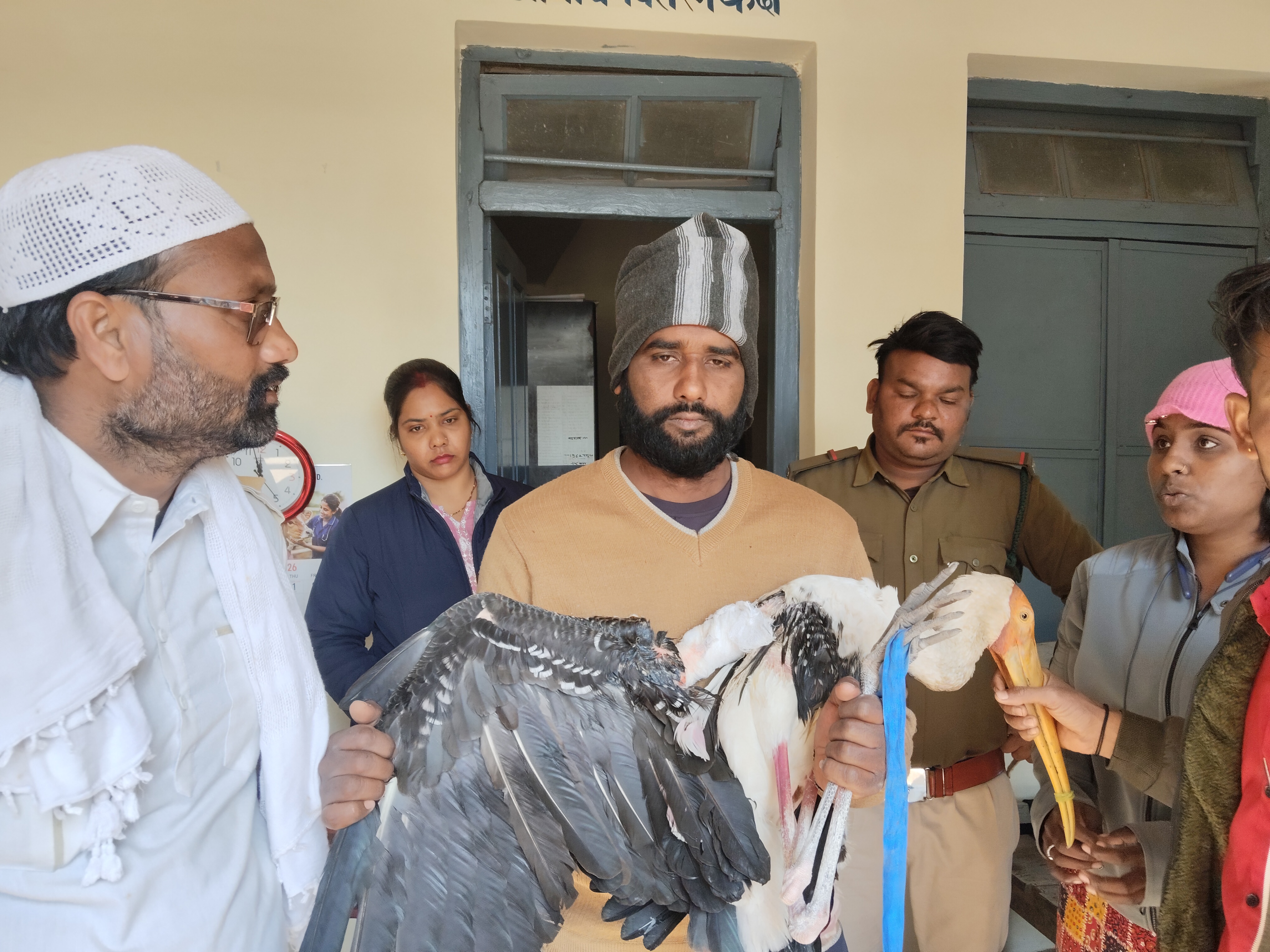चाइनीस माझे से पक्षी घायल 