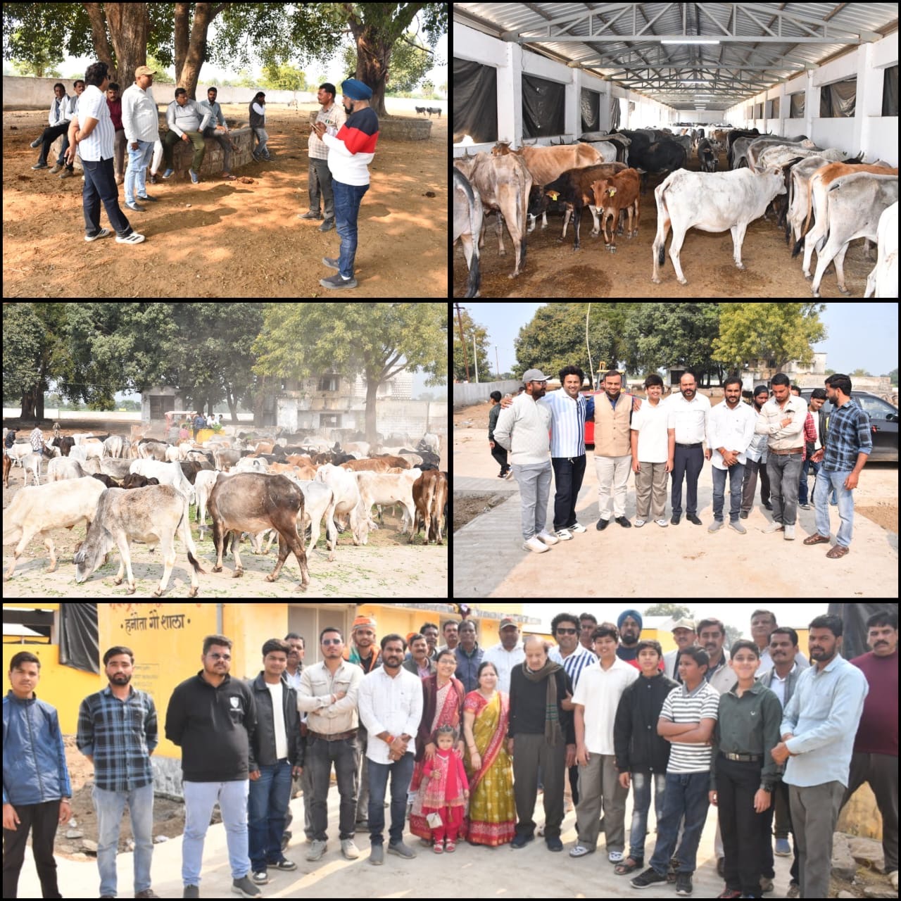 Additional News Image