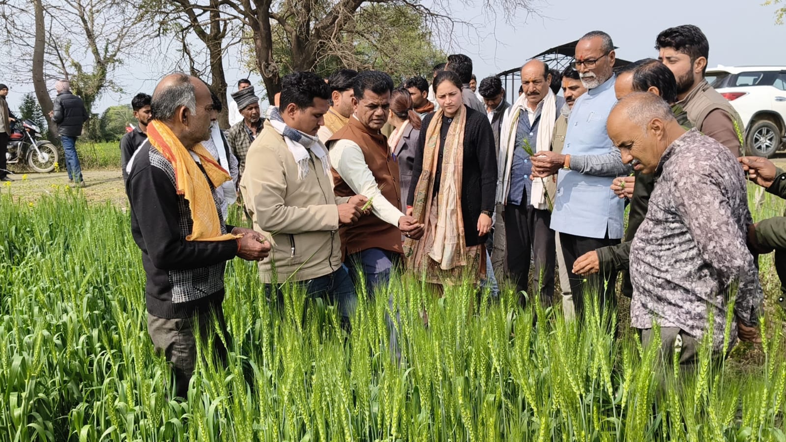ओला प्रभावित क्षेत्रों का दौरा: विधायक मुकेश टंडन ने किसानों को दी राहत की उम्मीद posted by Piyush Sharma from Vidisha