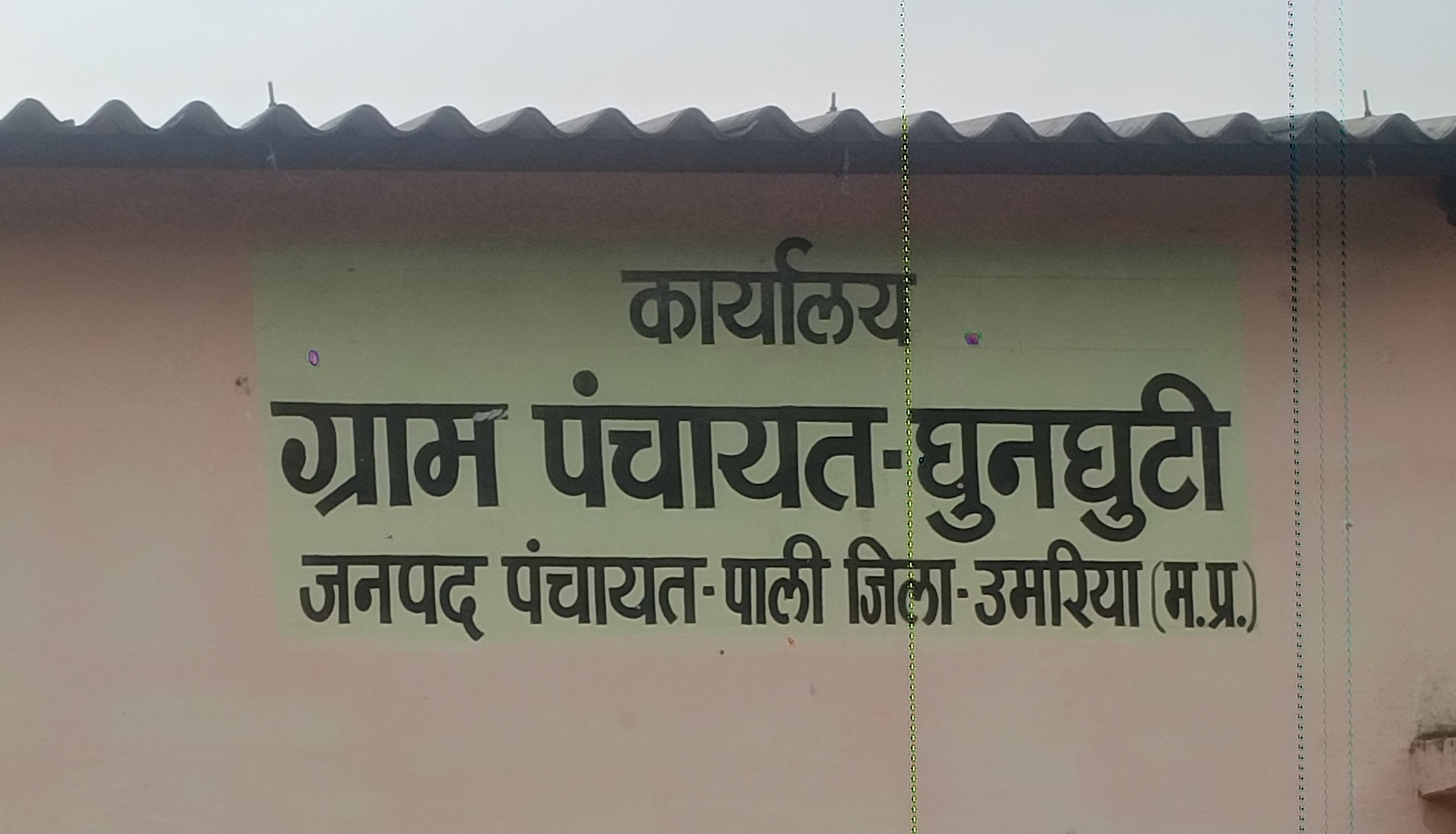 घुंघुटी पंचायत में स्ट्रीट लाइट घोटाले की आशंका से जनता चिंतित जिम्मेदारों को खुद नहीं जानकारी राशि गायब होने का सवाल