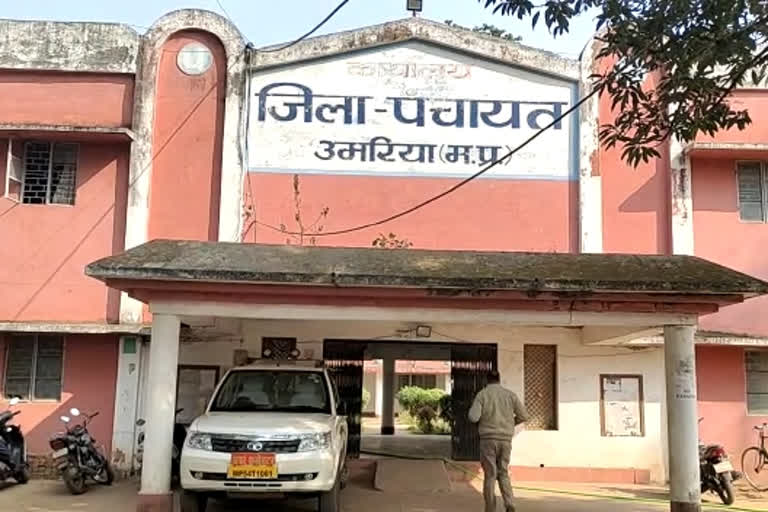 घुंघुटी पंचायत में स्ट्रीट लाइट घोटाले की आशंका से जनता चिंतित जिम्मेदारों को खुद नहीं जानकारी राशि गायब होने का सवाल
