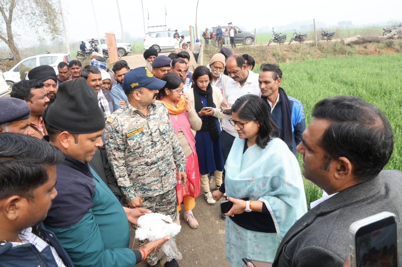 Additional News Image