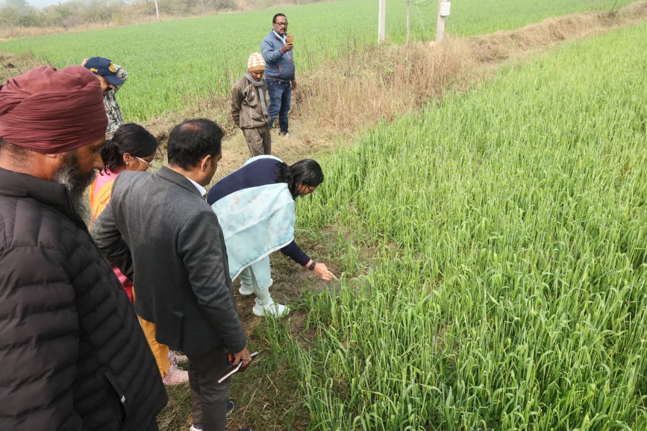 Additional News Image