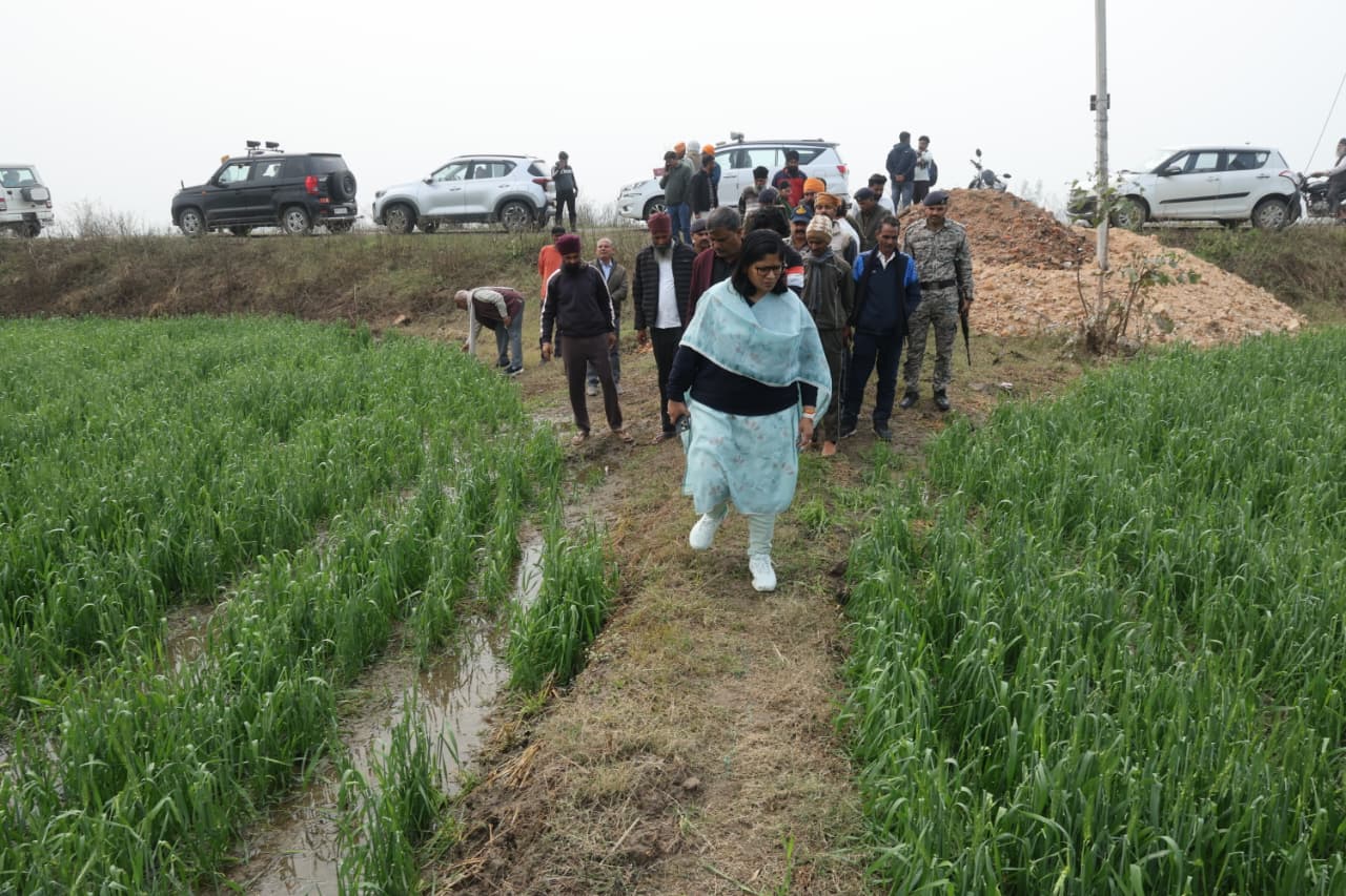 Additional News Image