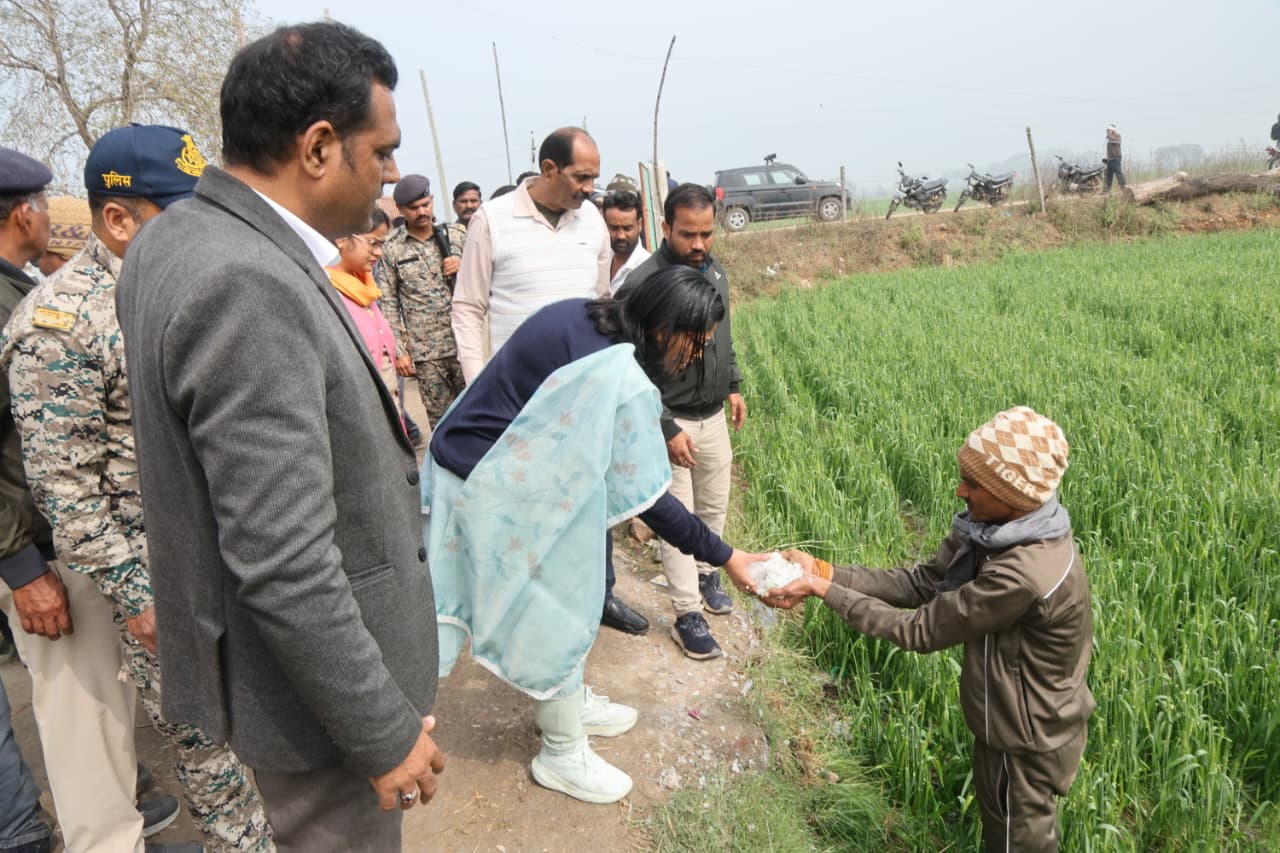 Additional News Image