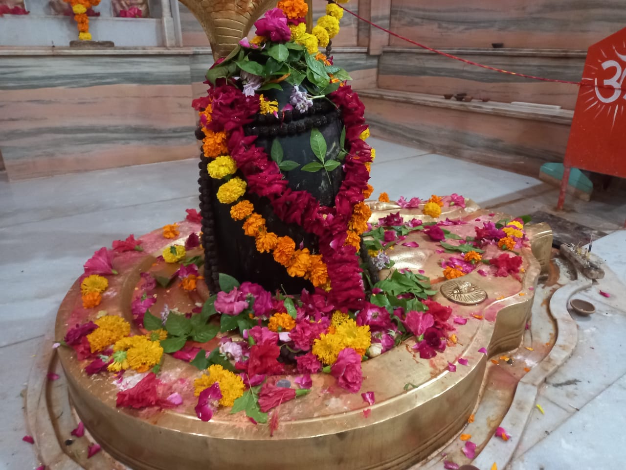 महाशिवरात्रि महोत्सव पर,मां जयंती धाम में श्रमदानी समयदानी व धनदानी पर्यावरणप्रेमीयो का सम्मान समारोह होगा आयोजित।