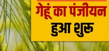 मध्य प्रदेश के किसानों के लिए राहत: रबी विपणन सीजन 2026-27 में गेहूं के MSP में वृद्धि