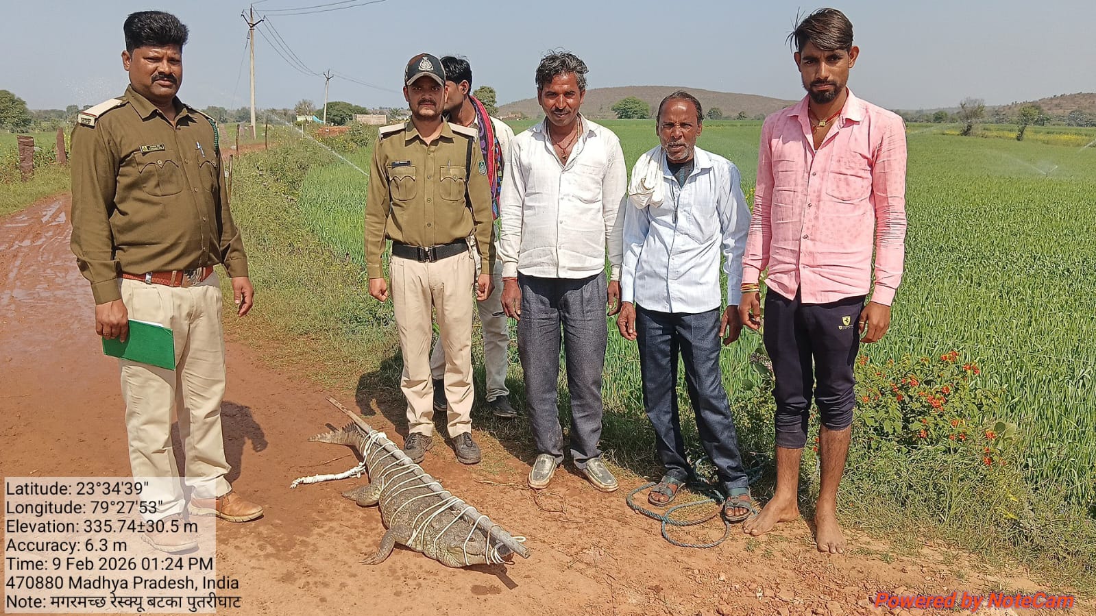 ब्यारमा नदी से निकलकर खेत में पहुंचा मगरमच्छ