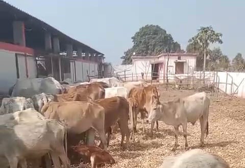 Additional News Image