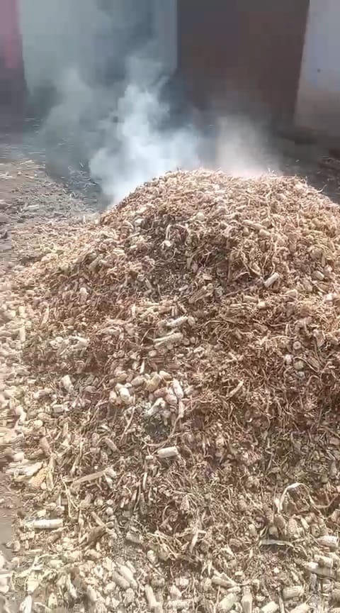 Additional News Image