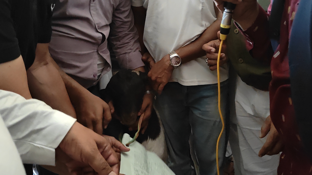 SIR पर संग्राम, नगर निगम का घेराव! 