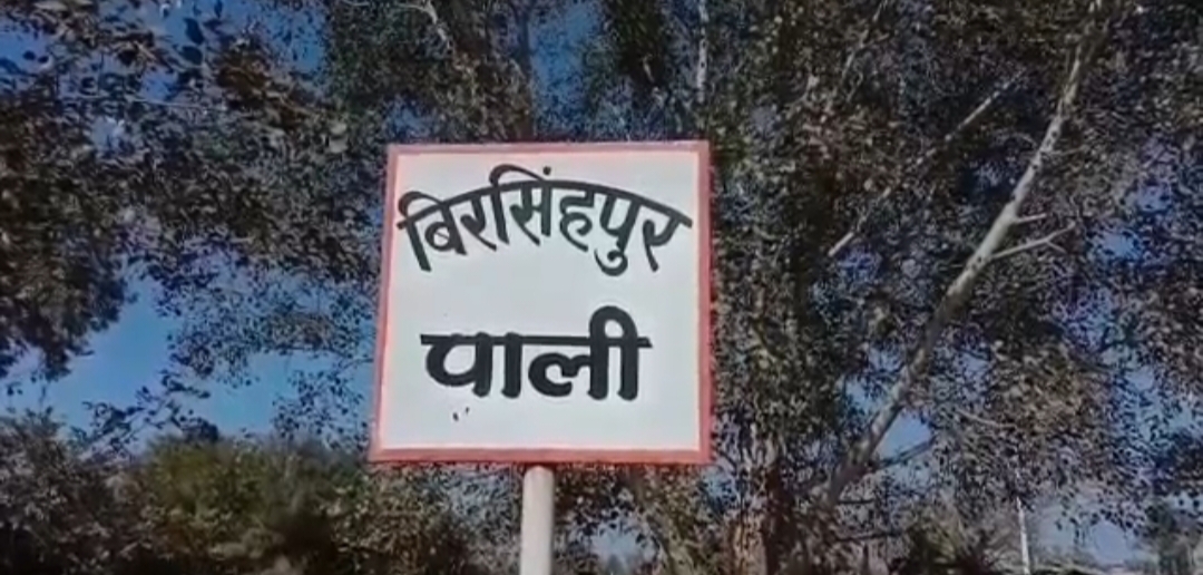 बिरसिंहपुर पाली में अमृत मयी भागवत कथा: श्रद्धालुओं की भारी भीड़