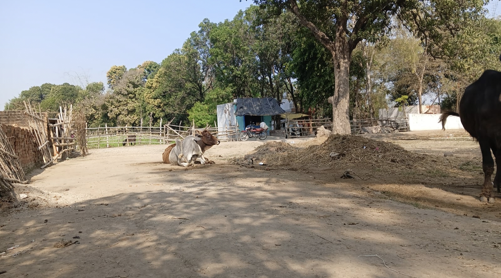 गांव के शमशान भूमि पर अतिक्रमण, ग्रामीणों को न्याय की दरकार posted by Kailash Tamarkar  from Unchahara