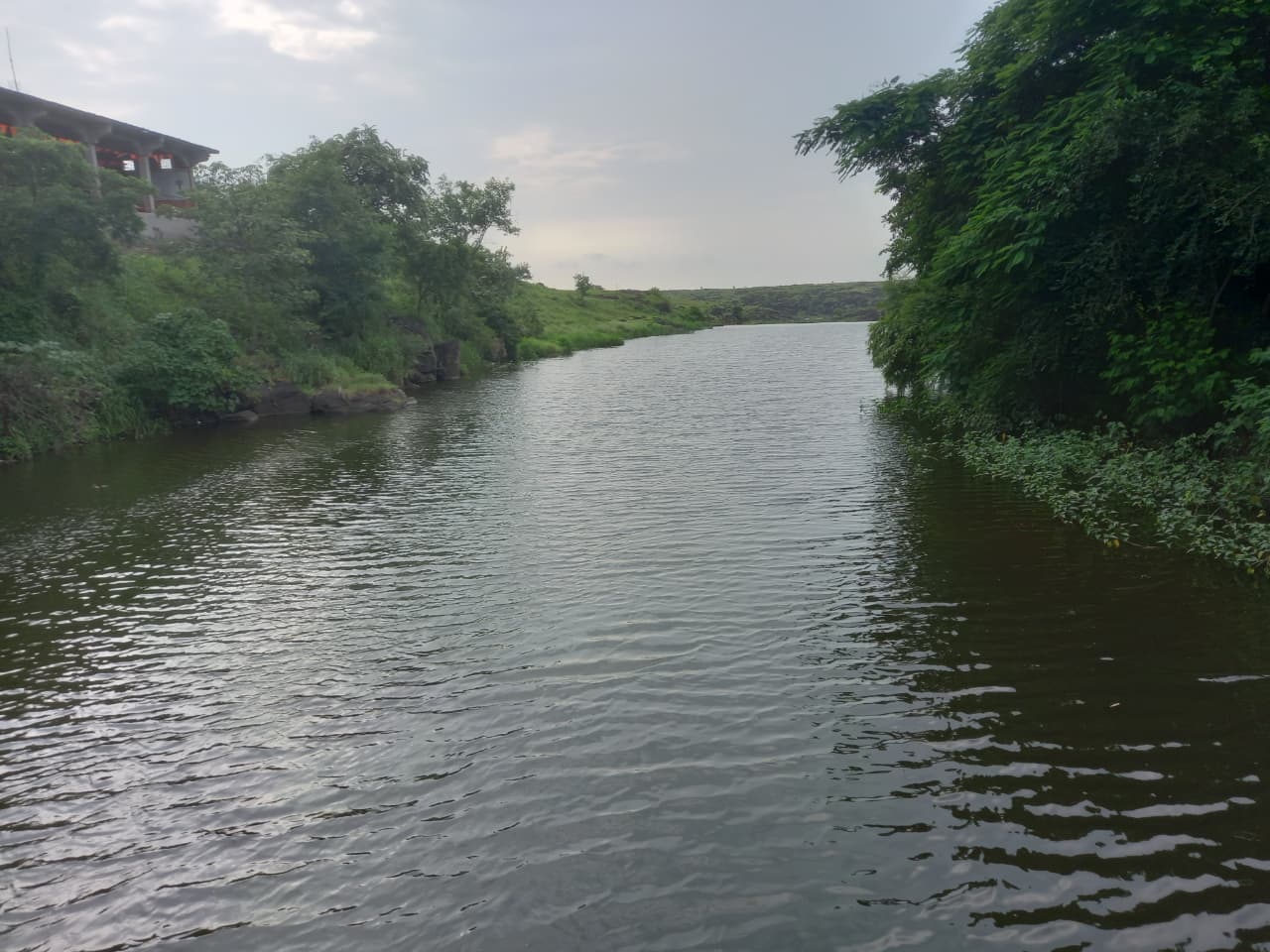 *पथरीली काली चट्टानों पर, पर्यावरण प्रेमी संस्था ने,25वर्षों से अनवरत संघर्ष कर ,चट्टान में ,हजारों पौधो का रोपण , कर दिखाया अद्भुत कार्य*