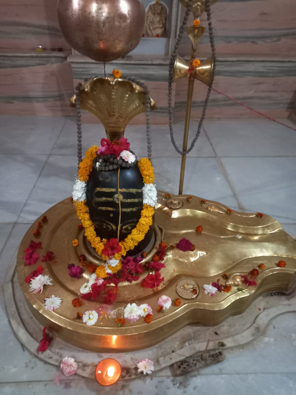 *पथरीली काली चट्टानों पर, पर्यावरण प्रेमी संस्था ने,25वर्षों से अनवरत संघर्ष कर ,चट्टान में ,हजारों पौधो का रोपण , कर दिखाया अद्भुत कार्य*