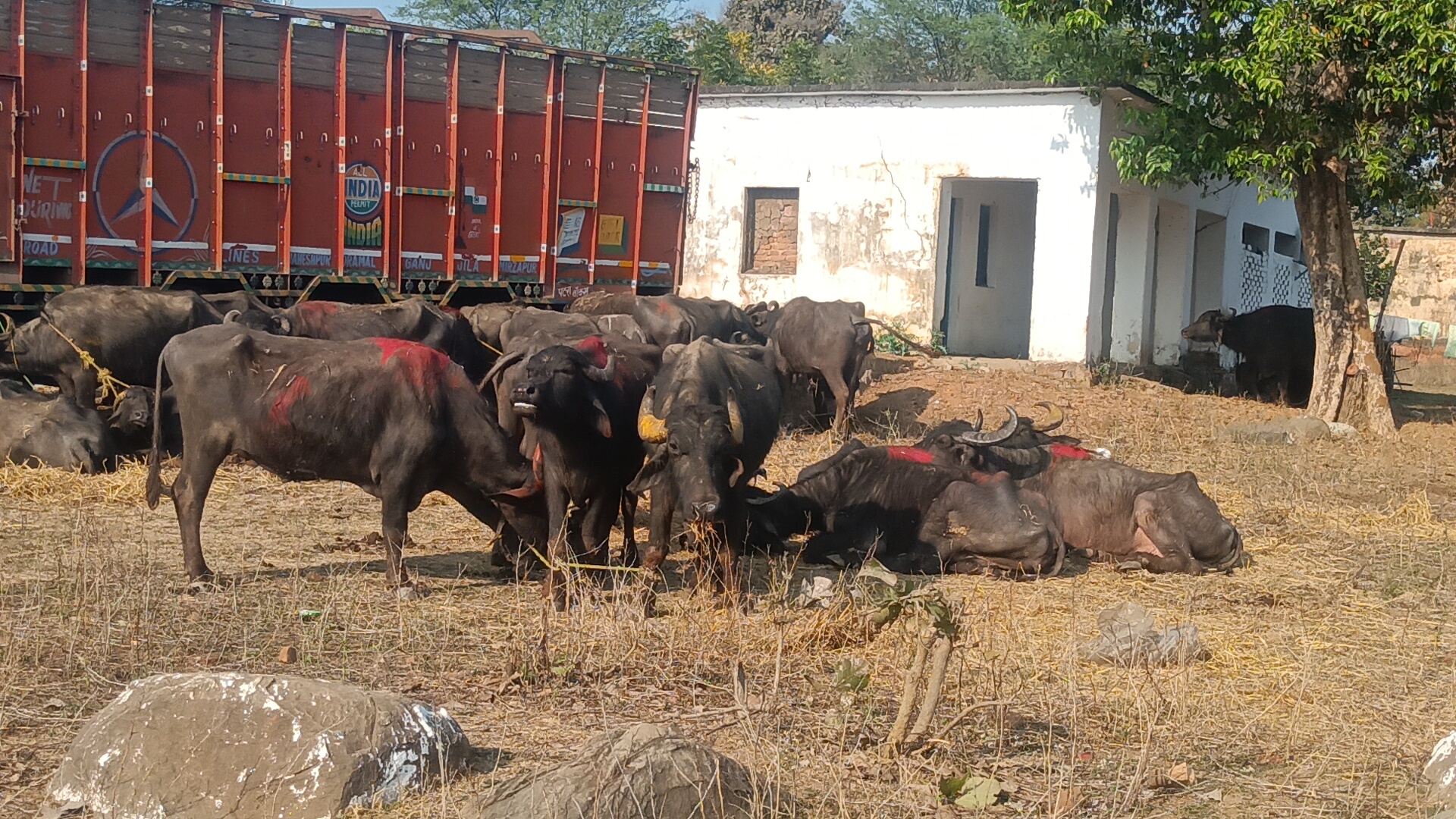 Additional News Image