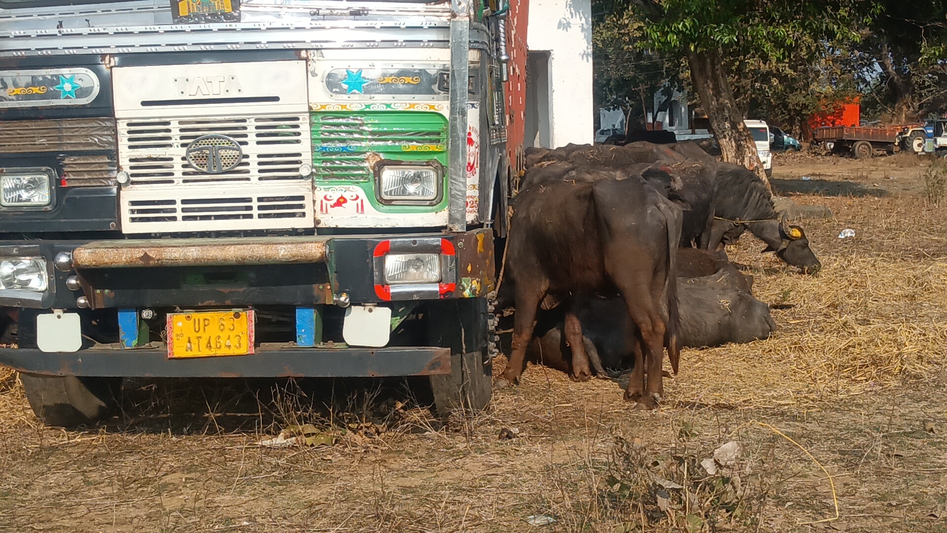 Additional News Image