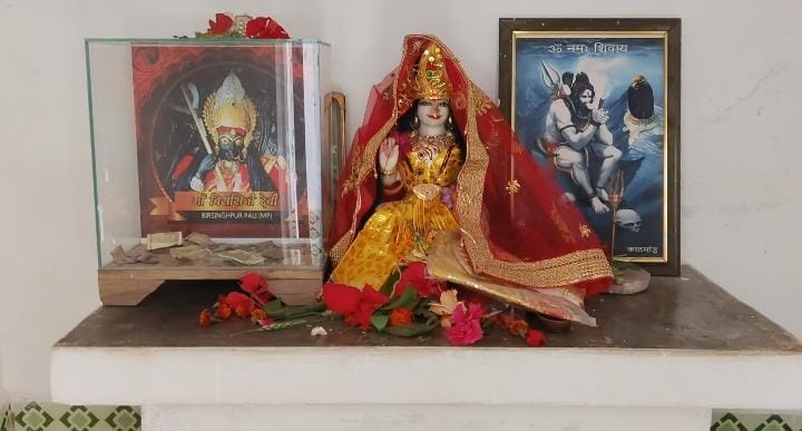 महाशिवरात्रि पर्व बिरसिंहपुर पाली पंचलेश्वर धाम में श्रद्धा भक्ति उल्लास भक्तों की अपार भीड़ पूजा अर्चना भव्य आयोजन सम्पन्न