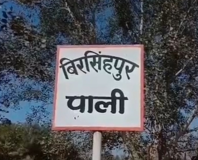 महाशिवरात्रि पर्व बिरसिंहपुर पाली पंचलेश्वर धाम में श्रद्धा भक्ति उल्लास भक्तों की अपार भीड़ पूजा अर्चना भव्य आयोजन सम्पन्न