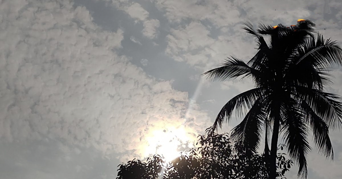 सागर जिले में सर्दी का सितम कम: 18 डिग्री के साथ प्रदेश में सबसे गर्म रही पिछली रात