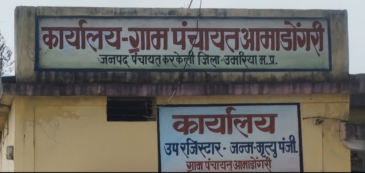 Additional News Image