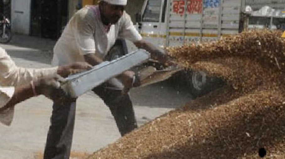 समर्थन मूल्य पर चना-मसूर बेचने का सुनहरा मौका, 16 मार्च तक कराएं पंजीयन posted by Manish Kumar Chaubey from Sagar