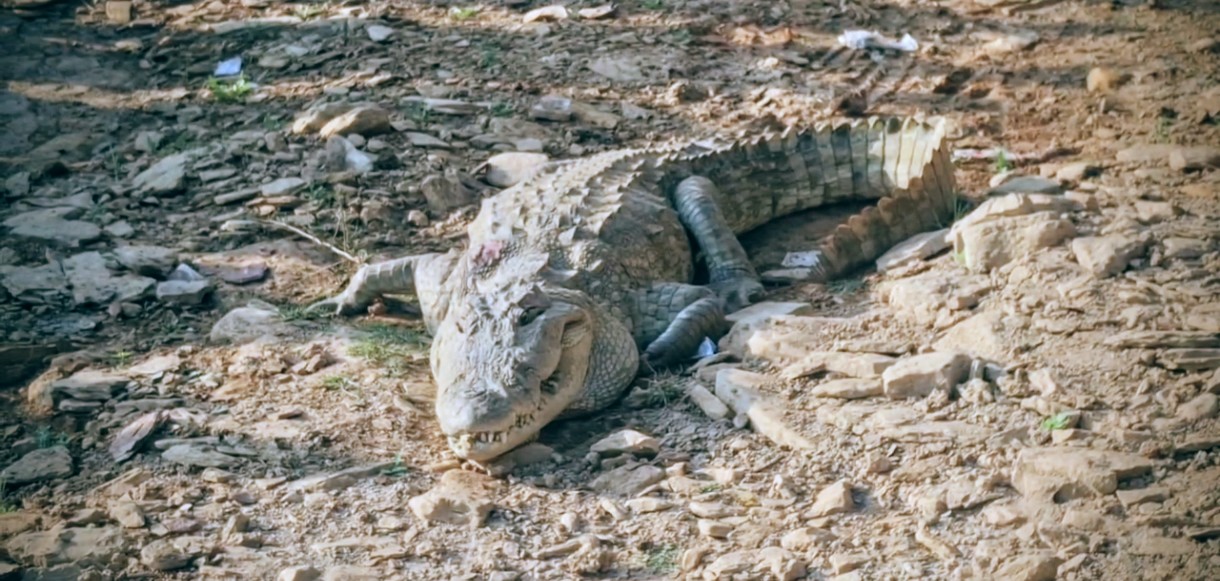 Additional News Image